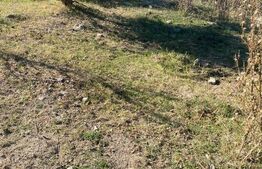 Teren intravilan 2400mp, front 12 metri, cartier Narciselor