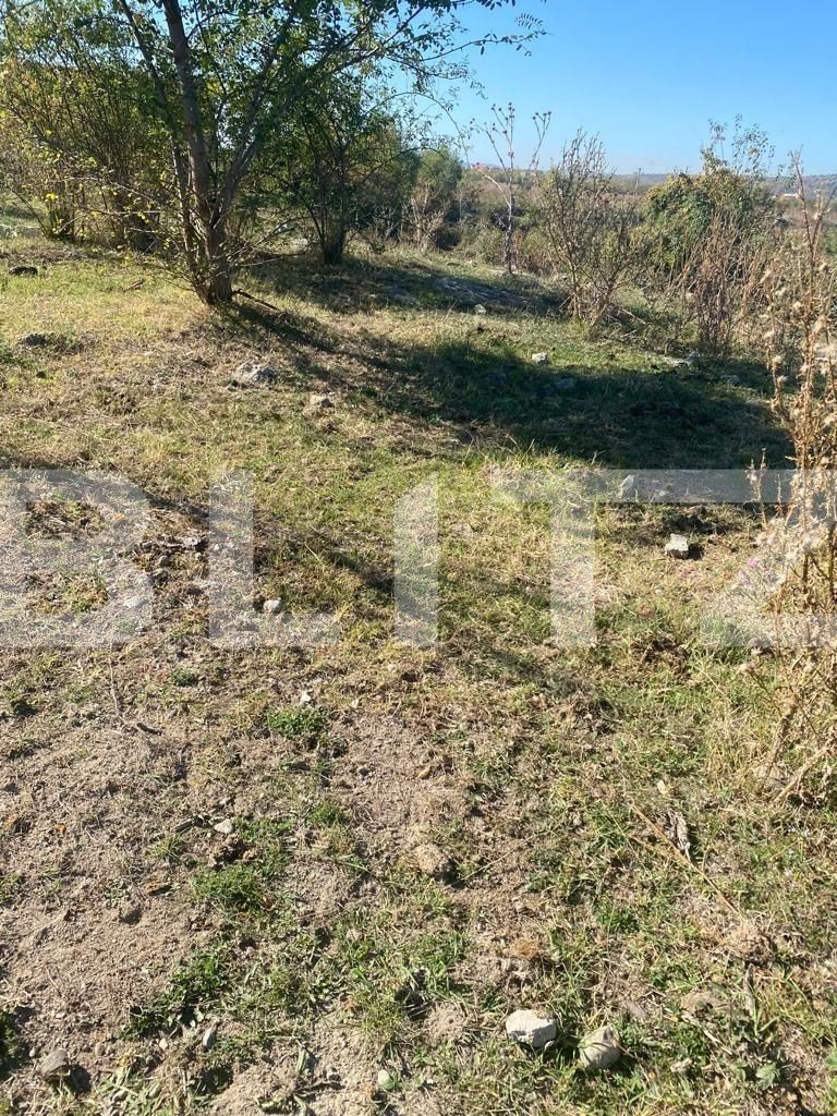 Teren de vânzare Centura Narciselor - 129119TV | BLITZ Târgu Jiu | Poza1