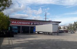 Spalatorie auto, vulcanizare, cartier Artego