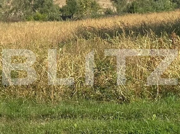 Teren de vânzare Centura Narciselor - 129236TV | BLITZ Târgu Jiu | Poza1
