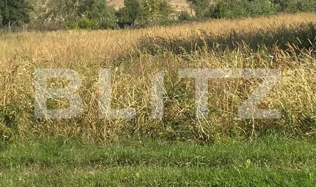 Teren de vânzare Centura Narciselor - 129236TV | BLITZ Târgu Jiu | Poza1