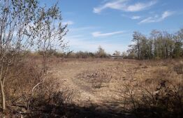 Teren 7240mp, zona Prelungirea Panduri