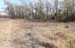 Teren 7240mp, zona Prelungirea Panduri