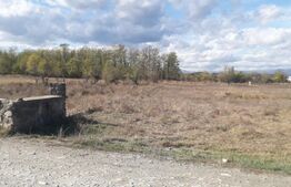 Teren 7240mp, zona Prelungirea Panduri