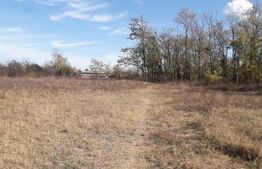 Teren 7240mp, zona Prelungirea Panduri