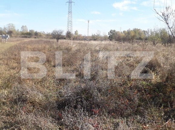 Teren de vânzare Exterior Sud - 129272TV | BLITZ Târgu Jiu | Poza6