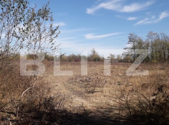Teren de vânzare Exterior Sud - 129272TV | BLITZ Târgu Jiu | Poza2