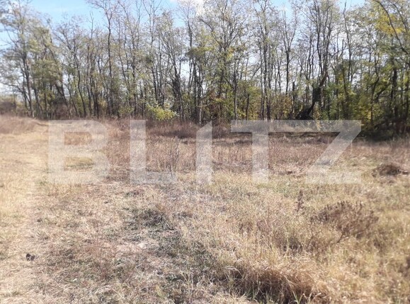 Teren de vânzare Exterior Sud - 129272TV | BLITZ Târgu Jiu | Poza5