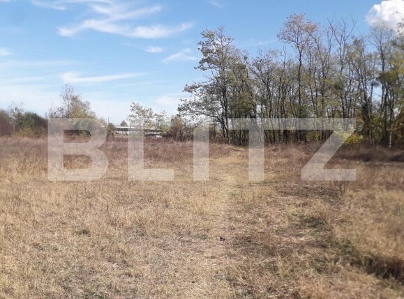 Teren de vânzare Exterior Sud - 129272TV | BLITZ Târgu Jiu | Poza4