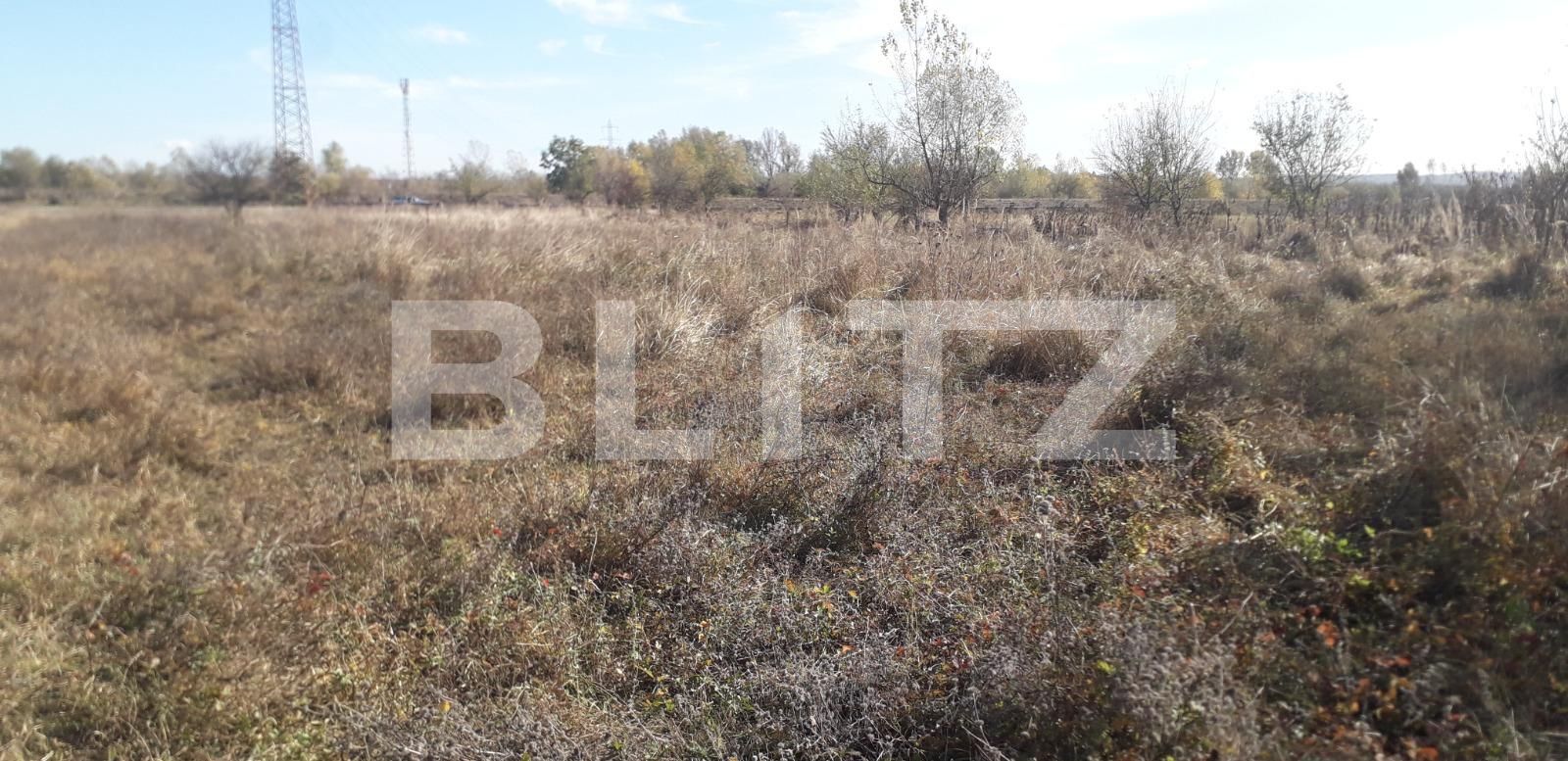 Teren de vânzare Exterior Sud - 129272TV | BLITZ Târgu Jiu | Poza7