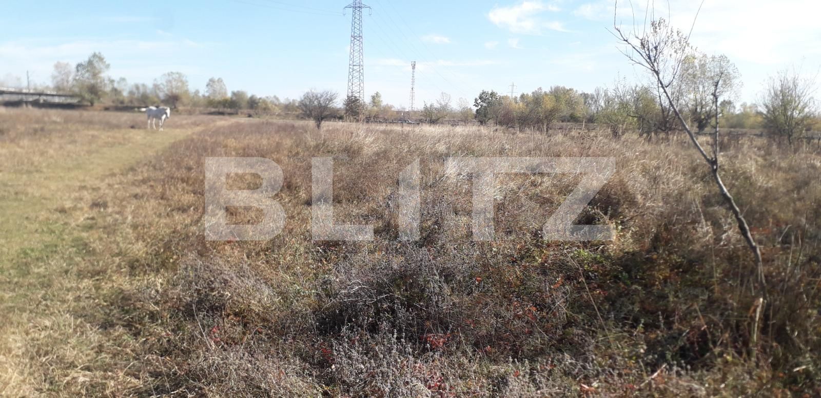 Teren de vânzare Exterior Sud - 129272TV | BLITZ Târgu Jiu | Poza6