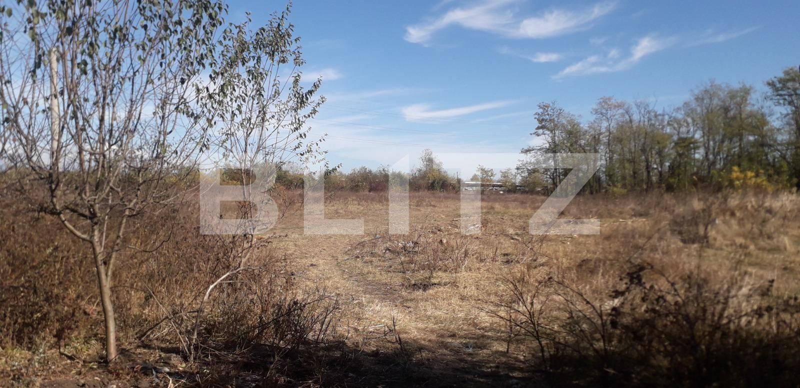 Teren de vânzare Exterior Sud - 129272TV | BLITZ Târgu Jiu | Poza2