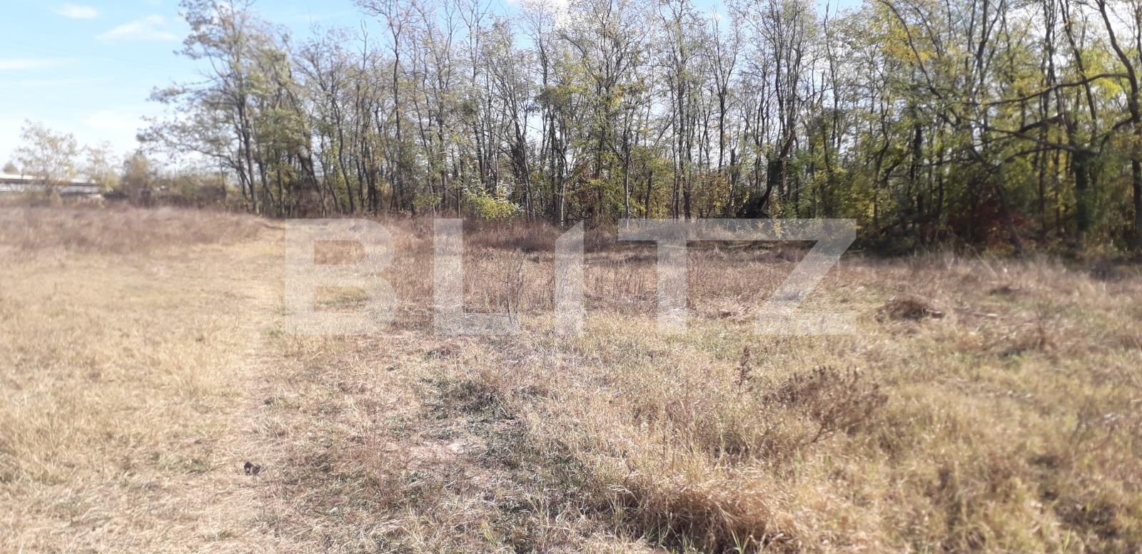 Teren de vânzare Exterior Sud - 129272TV | BLITZ Târgu Jiu | Poza5