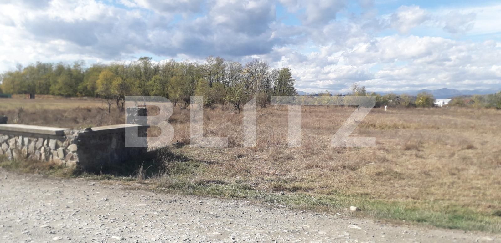 Teren de vânzare Exterior Sud - 129272TV | BLITZ Târgu Jiu | Poza1