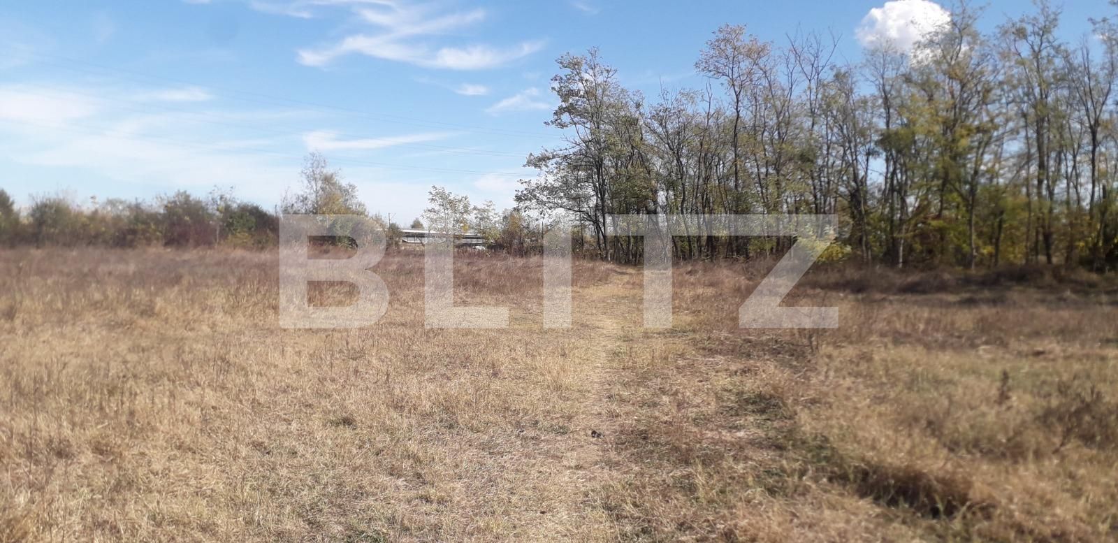 Teren de vânzare Exterior Sud - 129272TV | BLITZ Târgu Jiu | Poza4