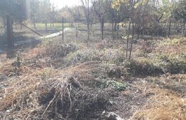 Teren, 2.626mp, zona Abator