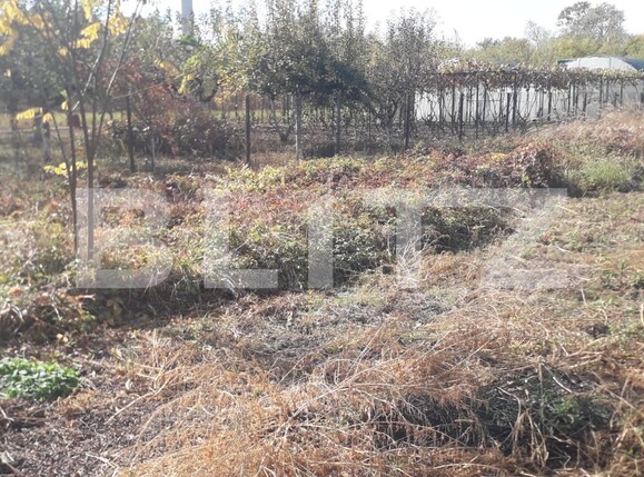 Teren de vânzare Abator - 129280TV | BLITZ Târgu Jiu | Poza7