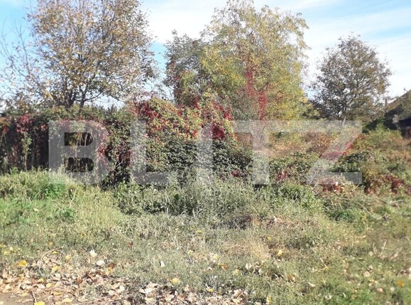 Teren de vânzare Abator - 129280TV | BLITZ Târgu Jiu | Poza2