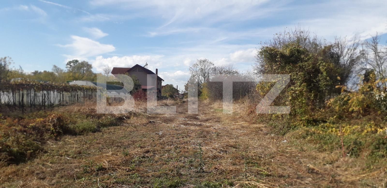 Teren de vânzare Abator - 129280TV | BLITZ Târgu Jiu | Poza6