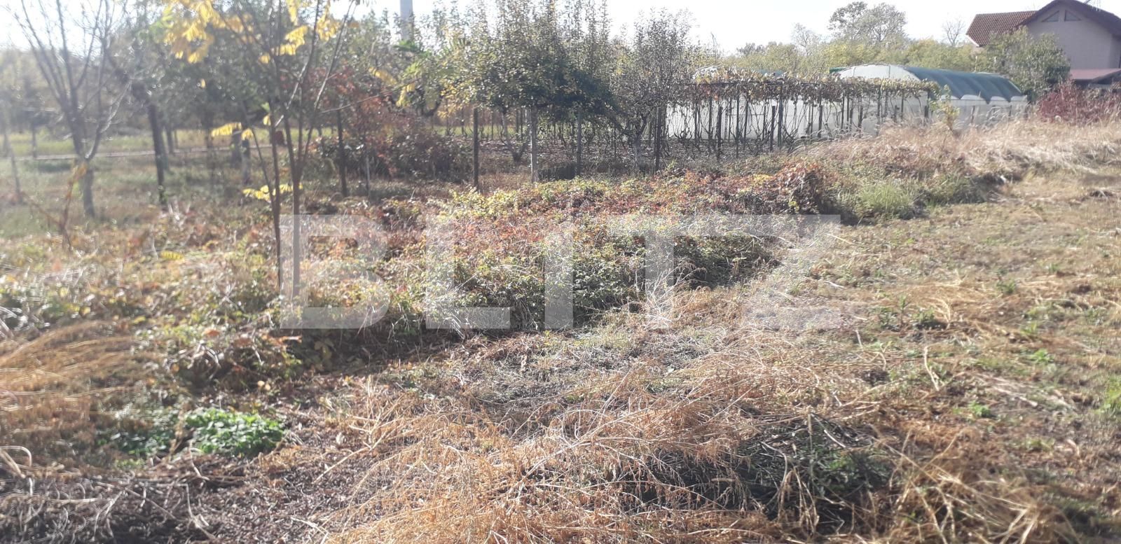 Teren de vânzare Abator - 129280TV | BLITZ Târgu Jiu | Poza7