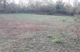 Teren, 570 mp, comuna Dragutesti