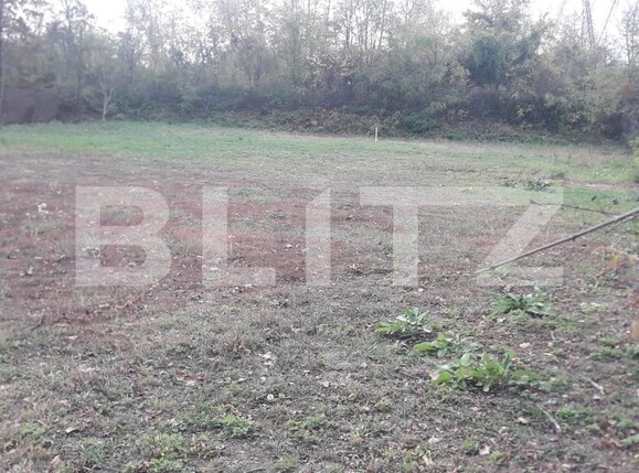 Teren de vânzare Exterior Sud - 129650TV | BLITZ Târgu Jiu | Poza4