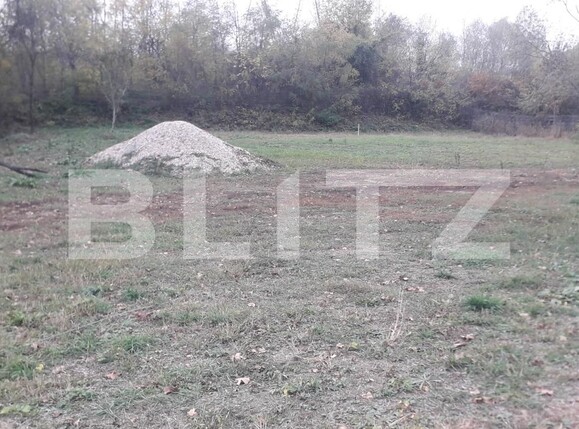 Teren de vânzare Exterior Sud - 129650TV | BLITZ Târgu Jiu | Poza3