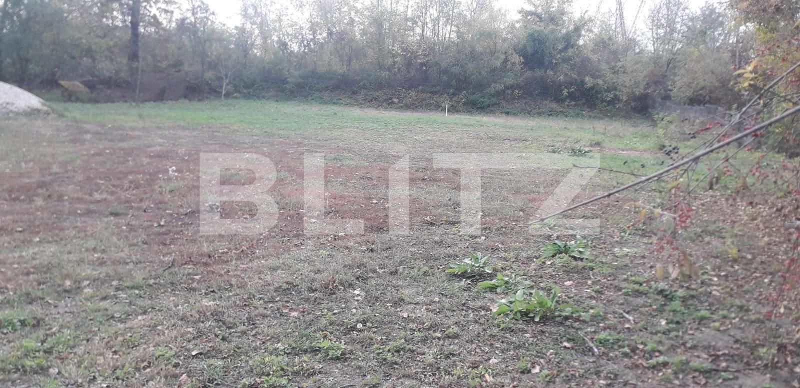 Teren de vânzare Exterior Sud - 129650TV | BLITZ Târgu Jiu | Poza4