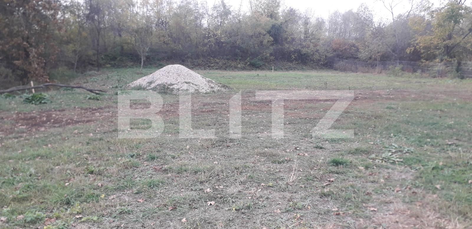 Teren de vânzare Exterior Sud - 129650TV | BLITZ Târgu Jiu | Poza3