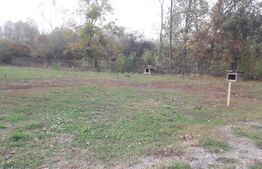 Teren de vanzare, 570 mp, com Dragutesti