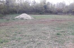 Teren de vanzare, 570 mp, com Dragutesti