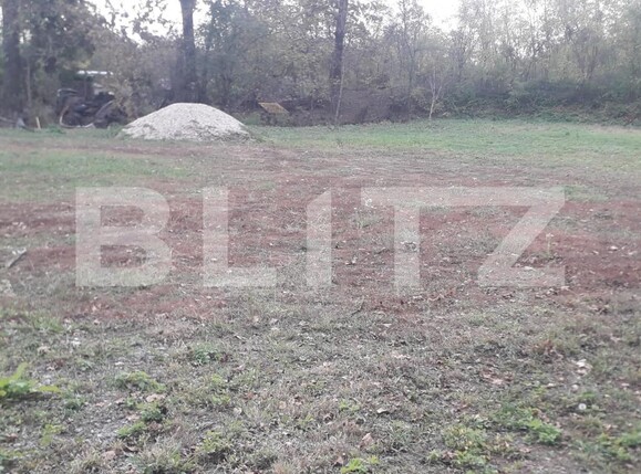 Teren de vânzare Exterior Sud - 129729TV | BLITZ Târgu Jiu | Poza2