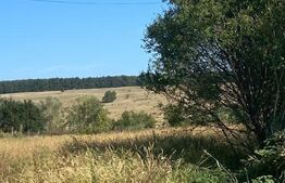 Teren intravilan 9200mp, front 23 metri ,Barsesti, Gorj