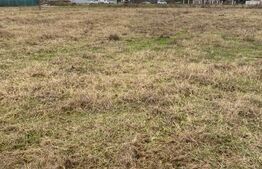 Teren extravilan, Prelungirea  Panduri,Tg Jiu