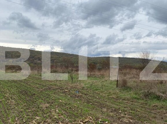 Teren de vânzare Centura - 130388TV | BLITZ Târgu Jiu | Poza1