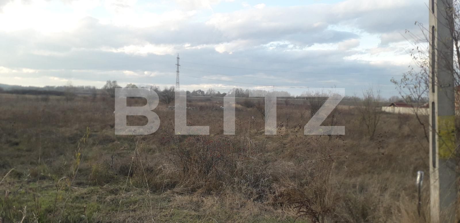 Teren de vânzare Exterior Sud - 130534TV | BLITZ Târgu Jiu | Poza1