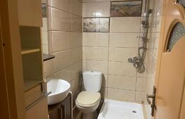 Apartament 2 camere, 45mp, zona Piata Mica 