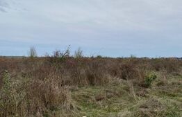 Teren extravilan, cartier Narciselor,Tg Jiu