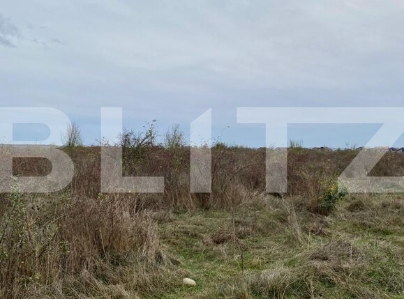 Teren de vânzare Centura Narciselor - 130879TV | BLITZ Târgu Jiu | Poza1