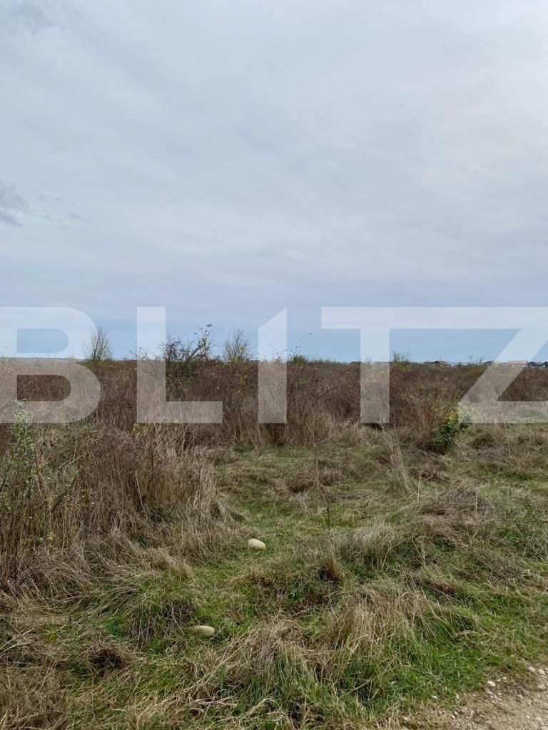 Teren de vânzare Centura Narciselor - 130879TV | BLITZ Târgu Jiu | Poza1