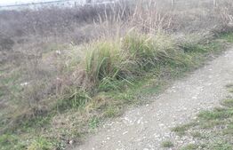 Teren 523mp, zona Exterior Sud