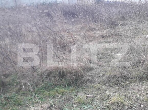 Teren de vânzare Exterior Sud - 130958TV | BLITZ Târgu Jiu | Poza3