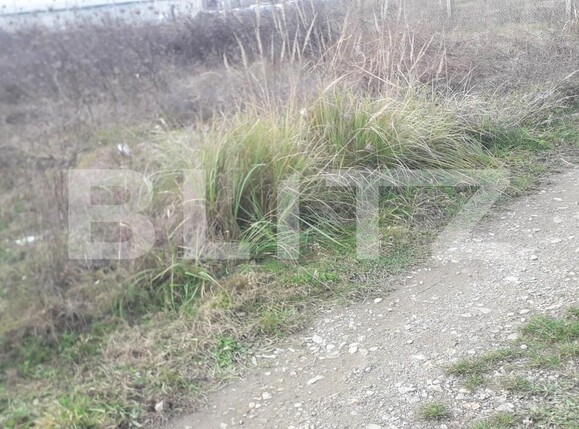 Teren de vânzare Exterior Sud - 130958TV | BLITZ Târgu Jiu | Poza4
