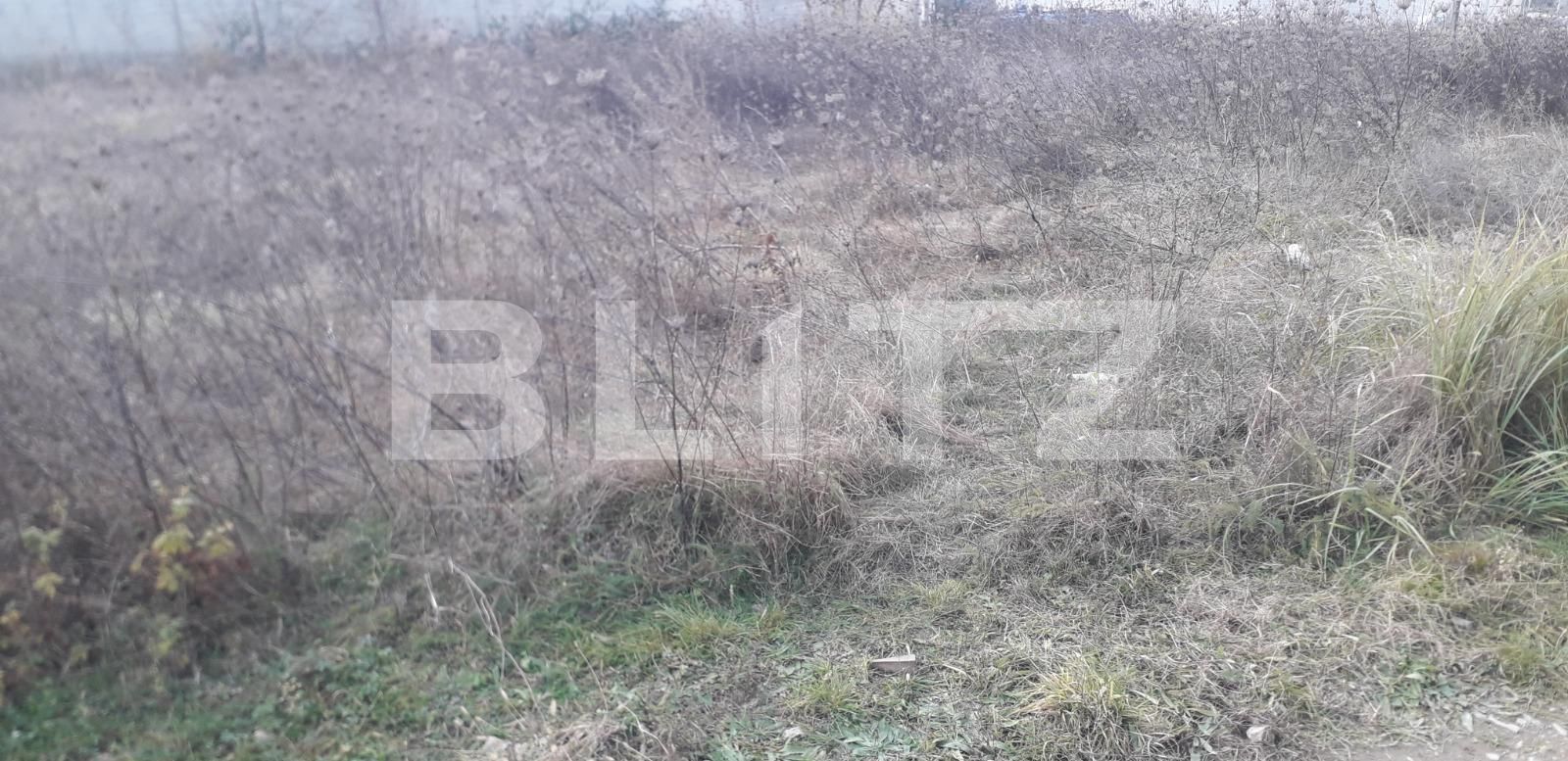 Teren de vânzare Exterior Sud - 130958TV | BLITZ Târgu Jiu | Poza1