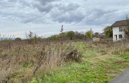 Teren extravilan, cartier Narciselor 2
