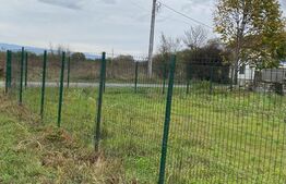 Teren intravilan, 5500mp, cartier Narcise