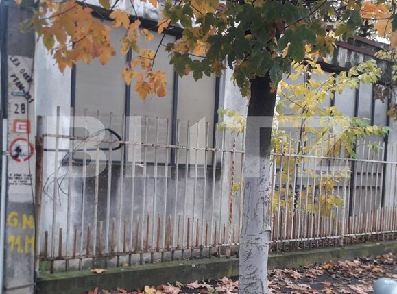 Teren de vânzare Panduraș - 131264TV | BLITZ Târgu Jiu | Poza1