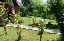 Casa pe parter, teren de 2980 mp, zona Schela