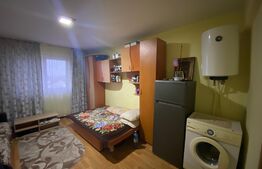Garsonieră, 22 mp, zona Lotrului