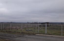 Teren de vanzare, Danesti